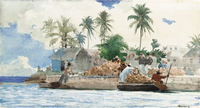 Schwammfischer, Bahamas von Winslow Homer