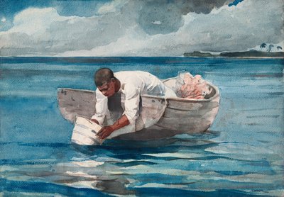 Der Wasserfächer von Winslow Homer