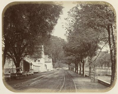Ansicht von Rijswijk in Batavia von Woodbury and Page