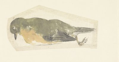 Toter Rotkehlchen von Yamamoto Shinryo Baiitsu