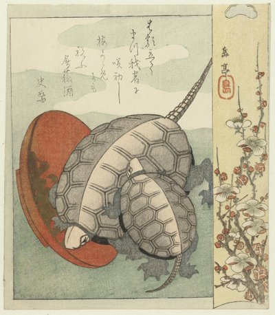 Schildkröten mit Sake-Schälchen von Yashima Gakutei