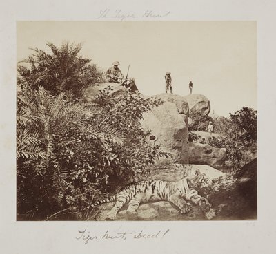 Tigerjagd, tot! von John Pardon