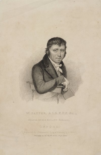 William Baxter, ALS FHS, britischer Botaniker, ca. 1820er von Frederick (attr. to) Barnard