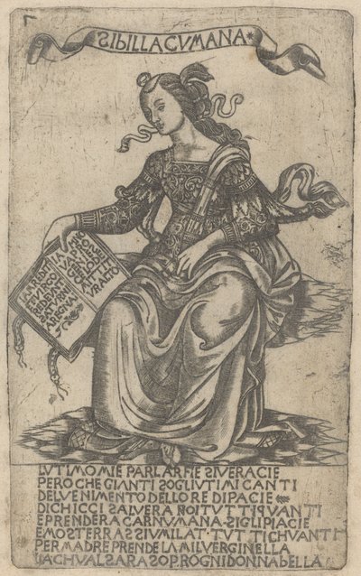 Kumäische Sibylle von after Baccio Baldini