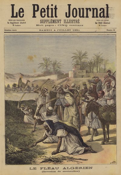 Die algerische Pest von after Henri Meyer