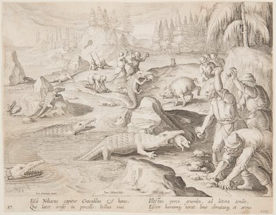 Krokodiljagd von after Jan van der Straet, called Stradanus