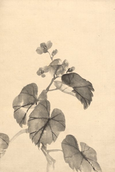 Blühender Begonienzweig von attributed to Kono Bairei
