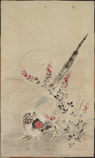 Fasan und Gräser von attributed to Ogata Kōrin