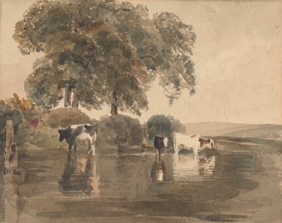 Kühe in einem Teich von attributed to Peter DeWint