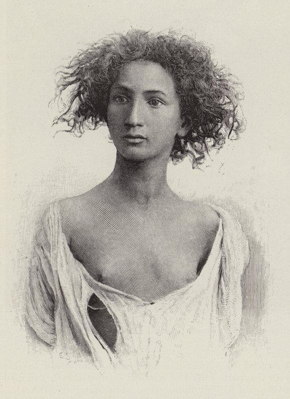 Ein Aurasischer Araber von American School