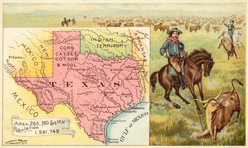 Texas, USA von American School