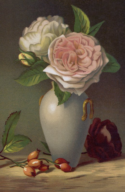 Kamelien von English School