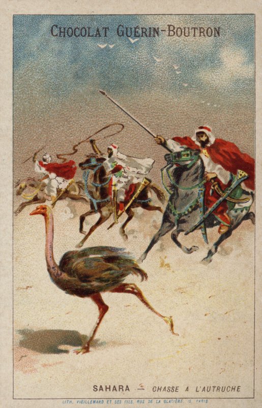 Straußenjagd in der Sahara von French School