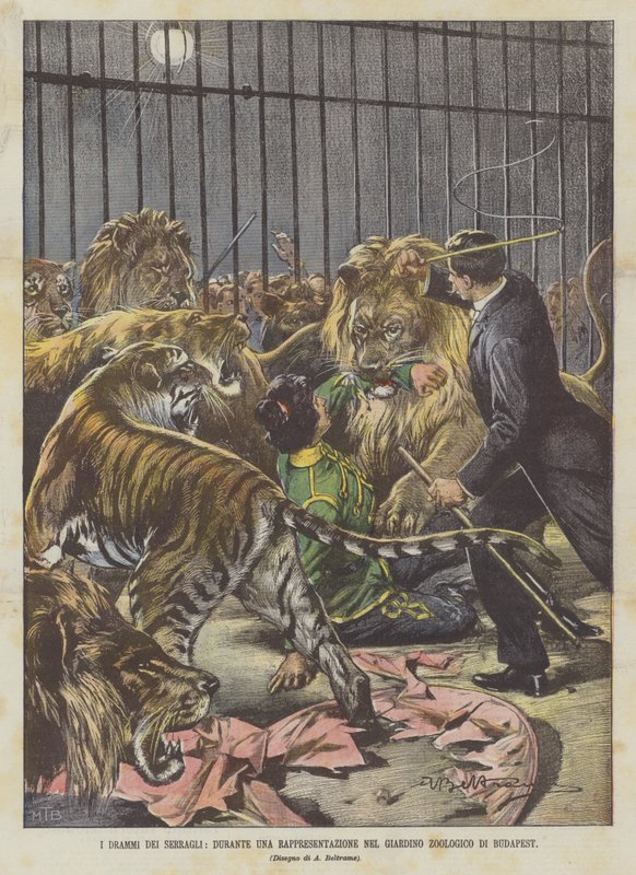 Die Dramen der Menagerien, während einer Vorstellung im Zoo von Budapest von Achille Beltrame