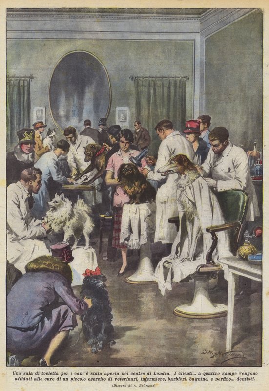 Ein Hundesalon wurde im Zentrum von London eröffnet von Achille Beltrame