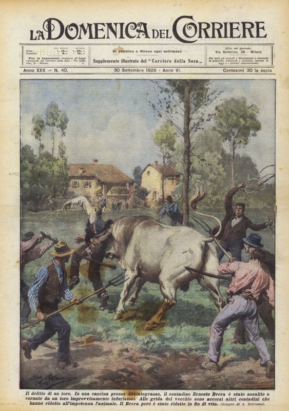 Das Verbrechen eines Stiers von Achille Beltrame