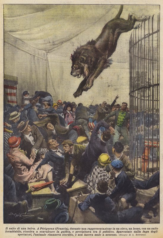 Der Sprung einer Bestie von Achille Beltrame