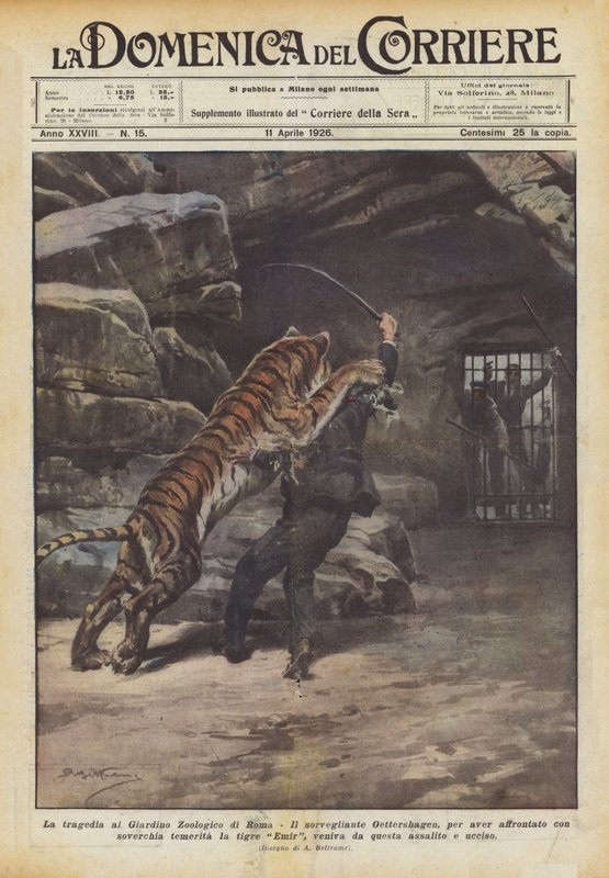 Die Tragödie im Zoologischen Garten von Rom von Achille Beltrame