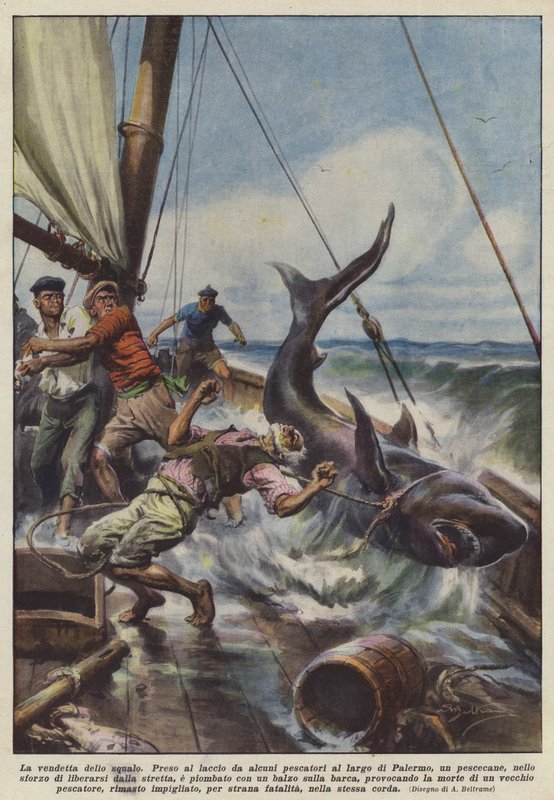 Die Rache des Hais von Achille Beltrame