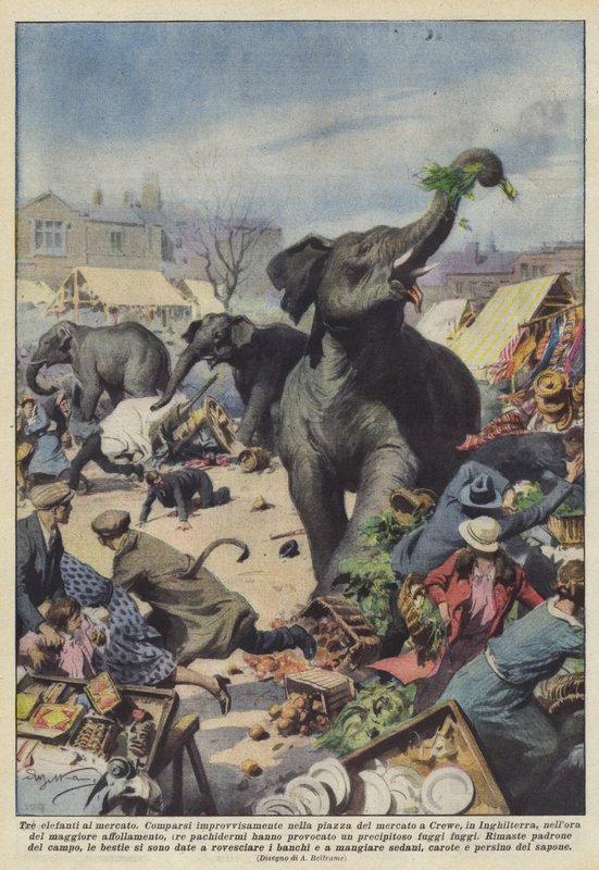 Drei Elefanten auf dem Markt von Achille Beltrame