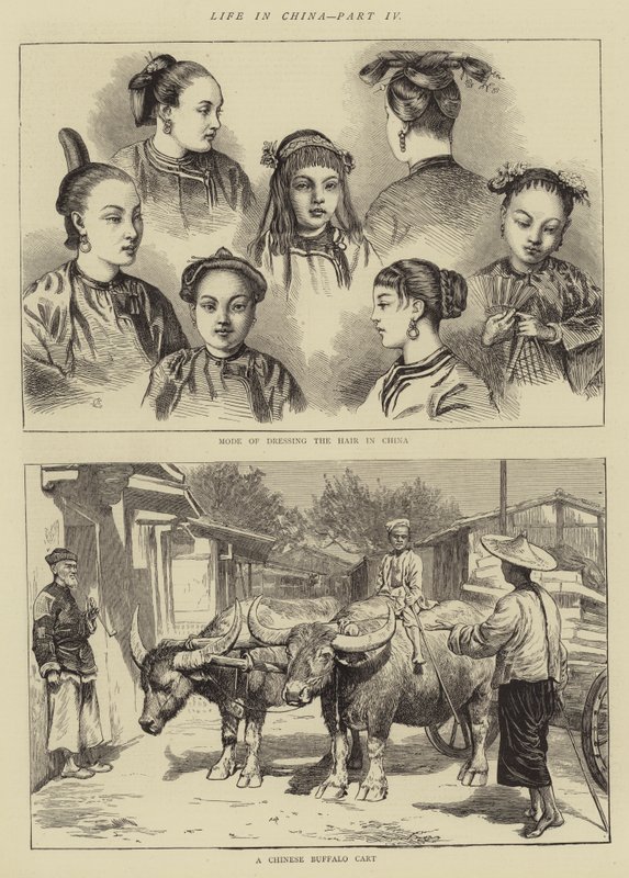 Leben in China, Teil IV von Alfred Chantrey Corbould
