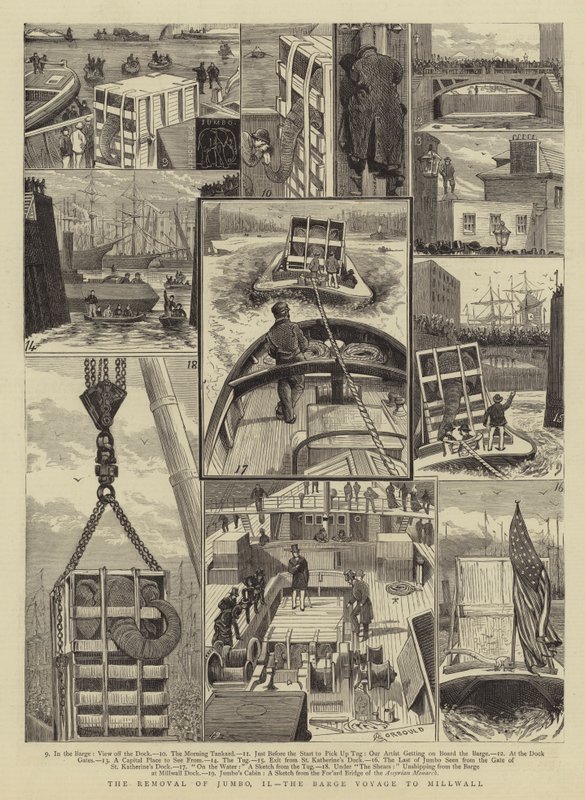 Die Entfernung von Jumbo, II, die Barkenfahrt nach Millwall von Alfred Chantrey Corbould