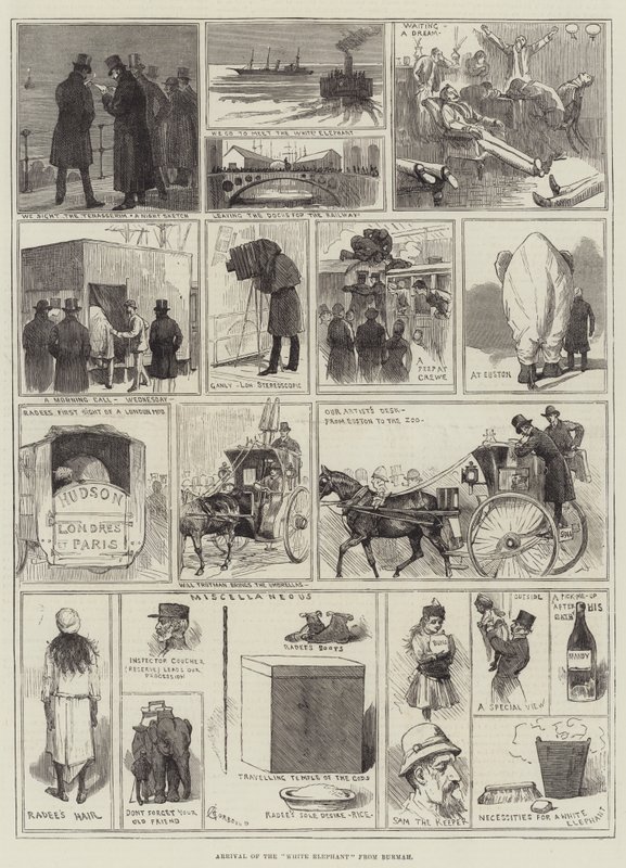 Ankunft des Weißen Elefanten aus Burma von Alfred Courbould