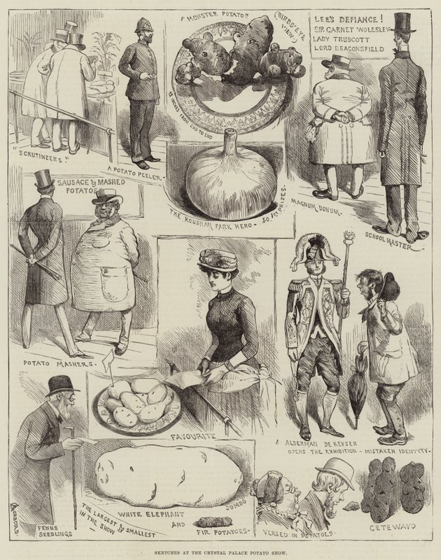 Skizzen auf der Crystal Palace Kartoffelshow von Alfred Courbould