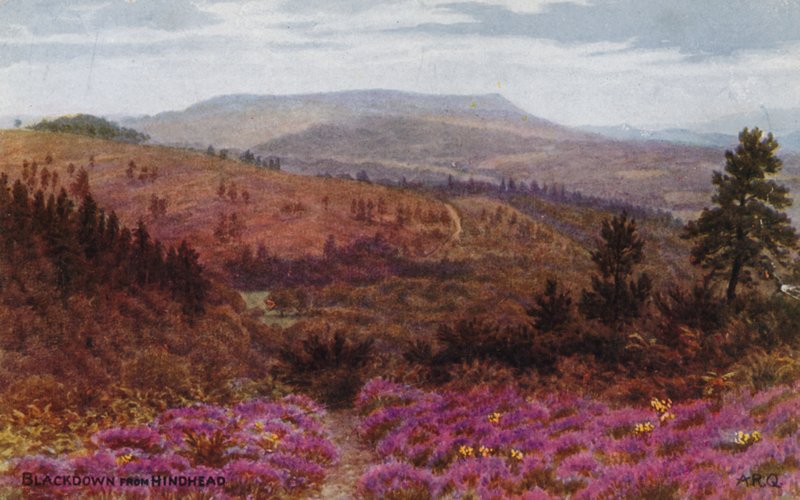 Blackdown von Hindhead von Alfred Robert Quinton