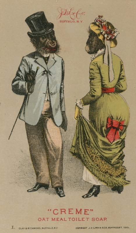 Schimpansen in modischer Kleidung von American School