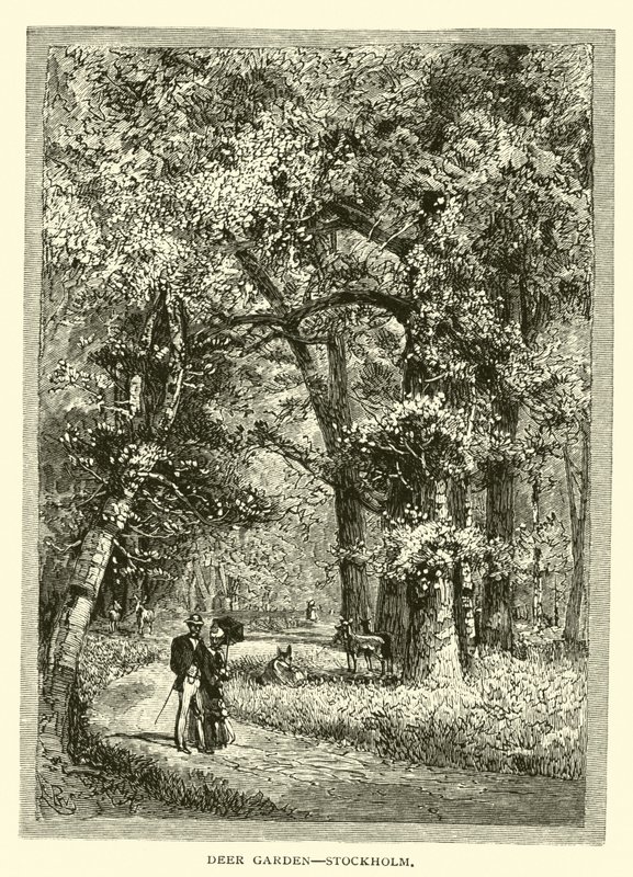 Tiergarten, Stockholm von American School