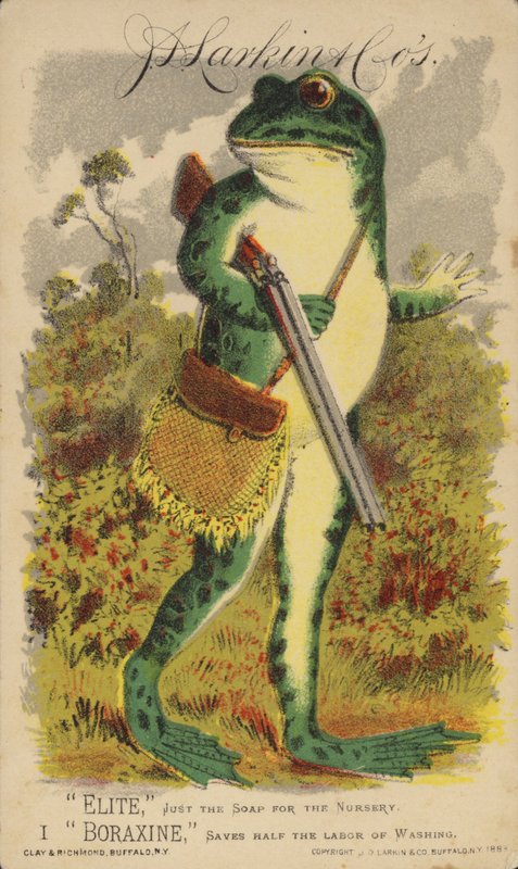 Frosch mit Schrotflinte und Tasche von American School