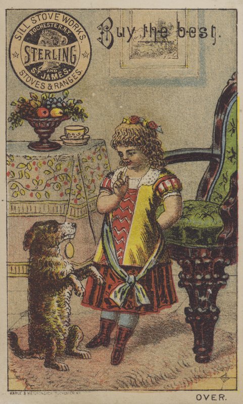 Mädchen bringt einem Hund das Betteln bei von American School