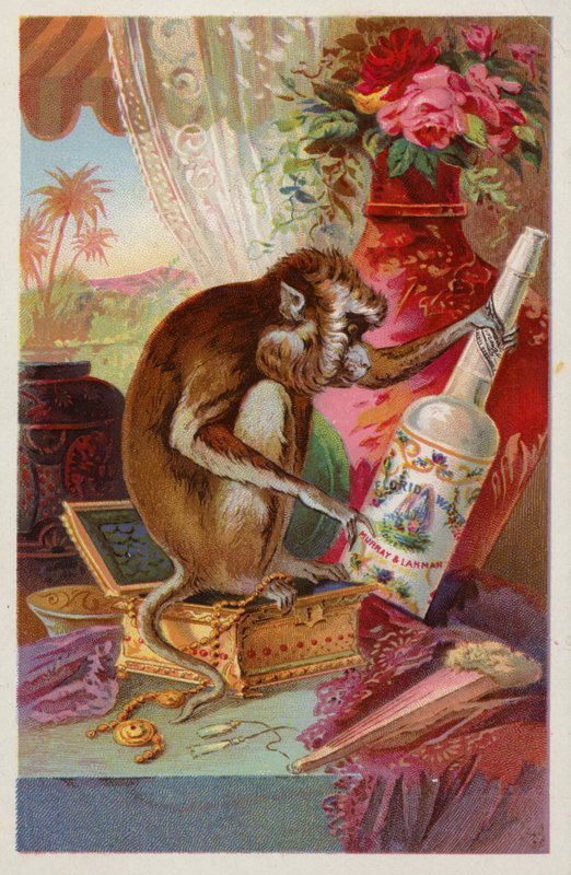 Affe mit einer Flasche von American School