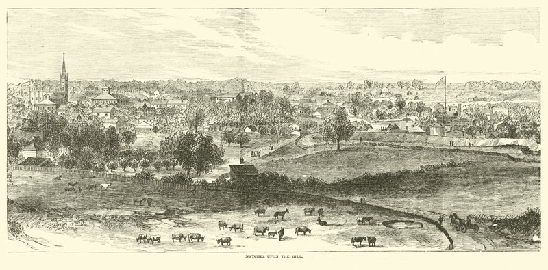 Natchez auf dem Hügel, Mai 1862 von American School