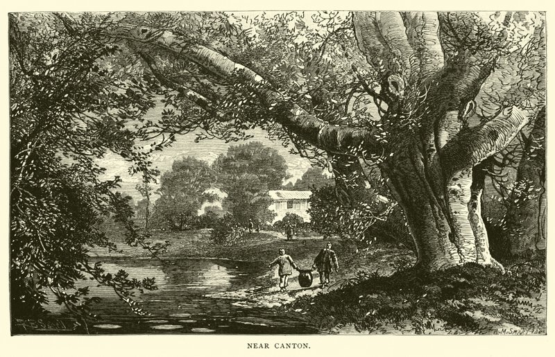 In der Nähe von Kanton von American School