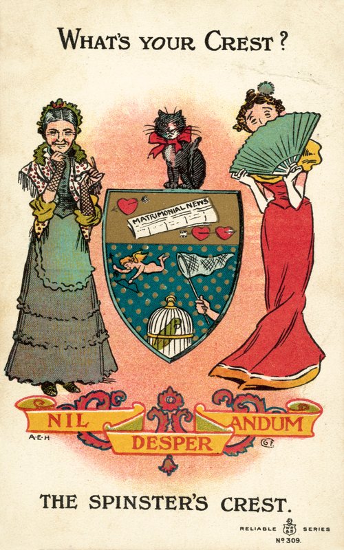 Das Wappen der Spinnerinnen, Nil Desperandum von American School