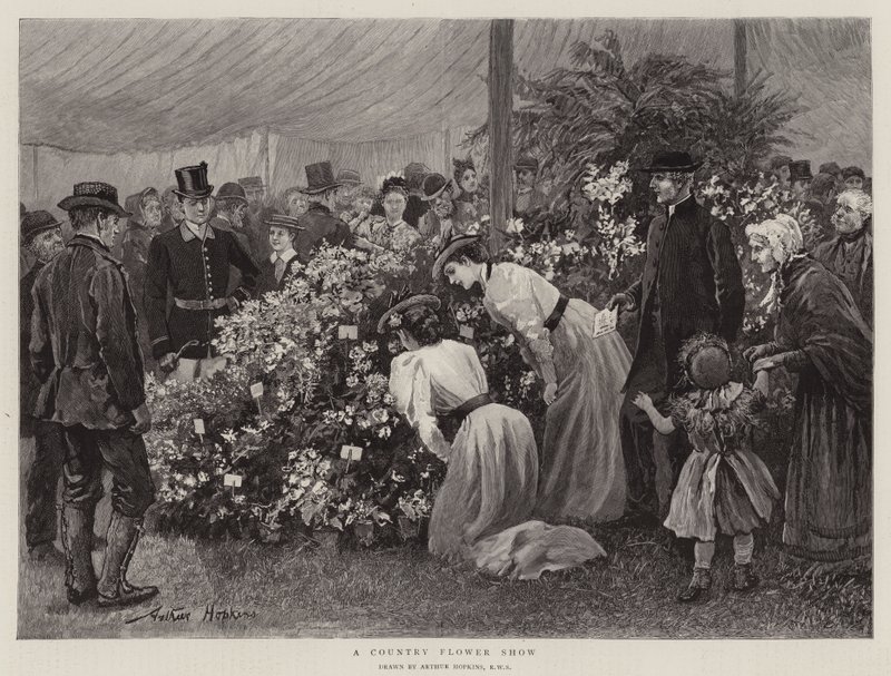 Eine Landblumenschau von Arthur Hopkins
