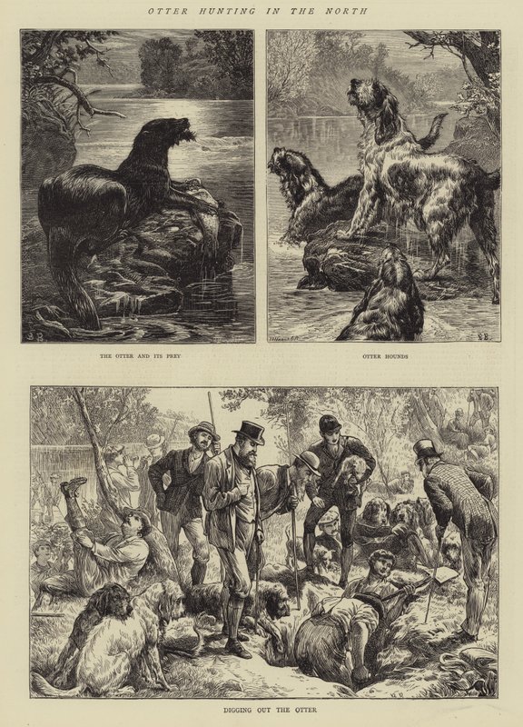 Otterjagd im Norden von Basil Bradley
