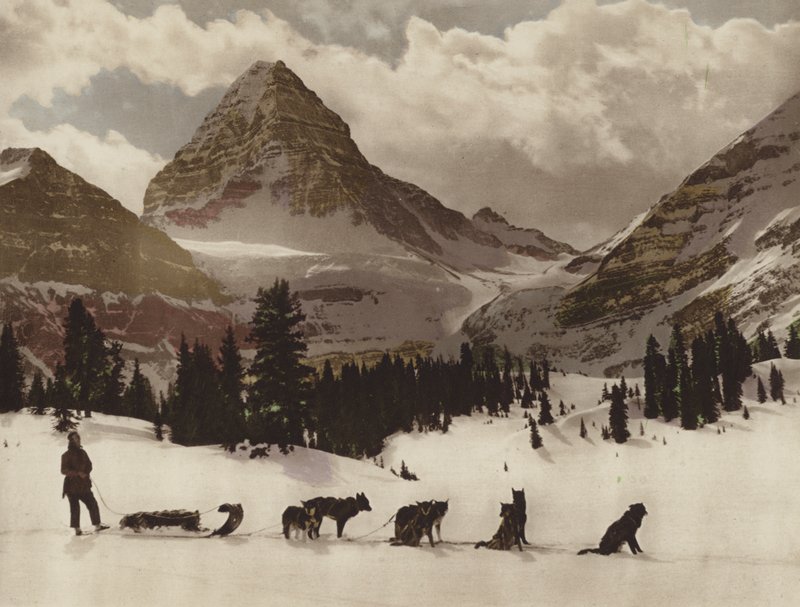 Mount Assiniboine von Byron Hill Harmon