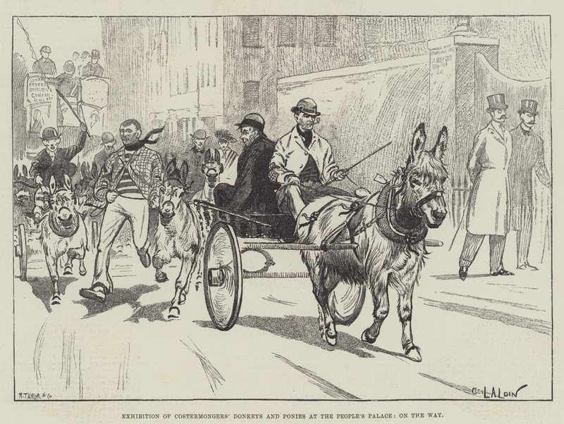 Ausstellung von Lastkarren-Eseln und Ponys im People
