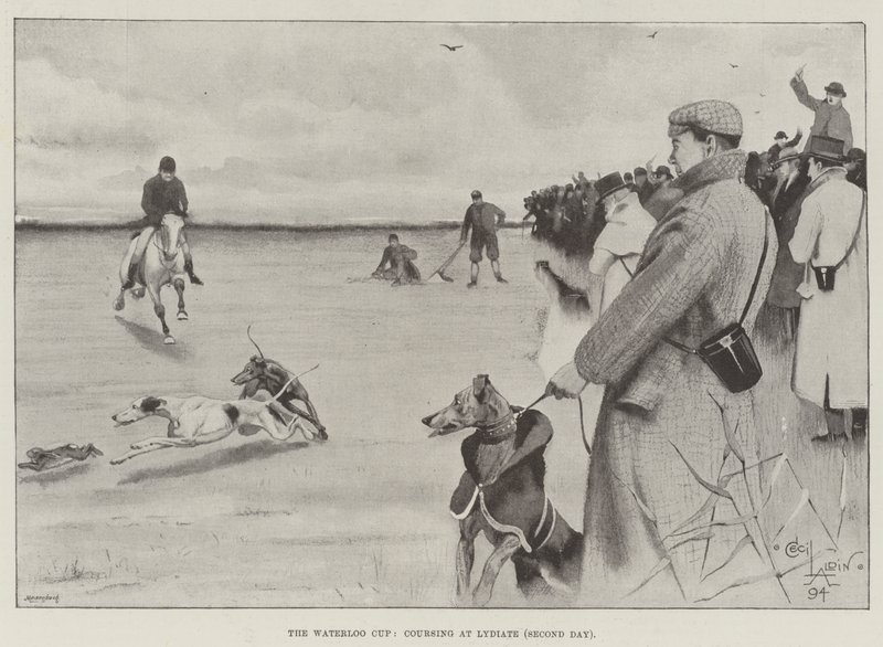 Der Waterloo Cup, Hasenjagd in Lydiate, zweiter Tag von Cecil Charles Windsor Aldin
