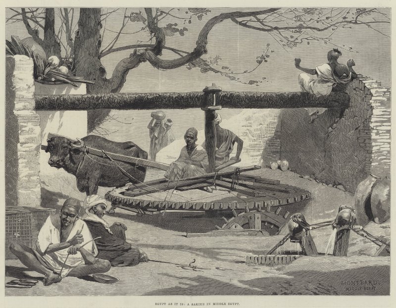 Ägypten wie es ist, eine Sakieh in Mittelägypten von Charles Auguste Loye