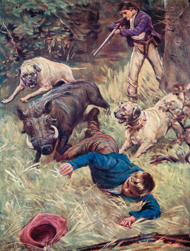 Illustration für Die Schweizer Familie Robinson von Charles Daniel Ward