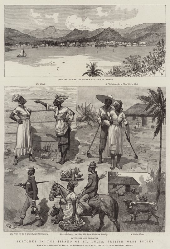 Skizzen auf der Insel St. Lucia, Britische Westindische Inseln von Charles Edwin Fripp