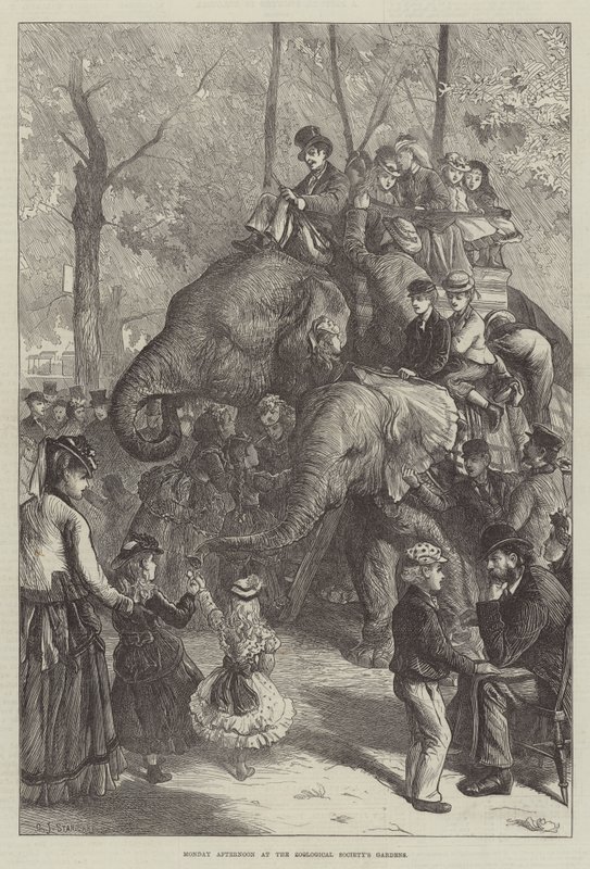 Montagnachmittag im Zoologischen Garten von Charles J. Staniland