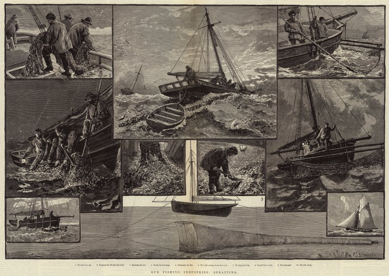 Unsere Fischereiindustrie, Spratting von Charles J. Staniland