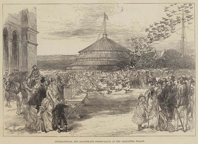 Internationale und All-England Taubenrennen im Alexandra Palace von Sir John Charles Robinson