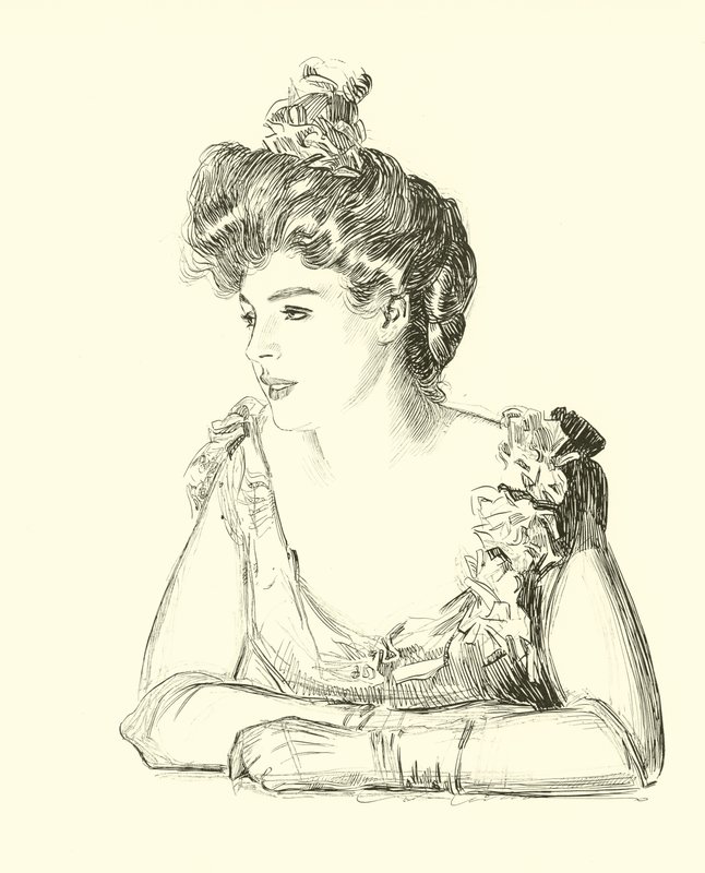 Illustration für Die Gesellschaftsleiter von Charles Dana Gibson