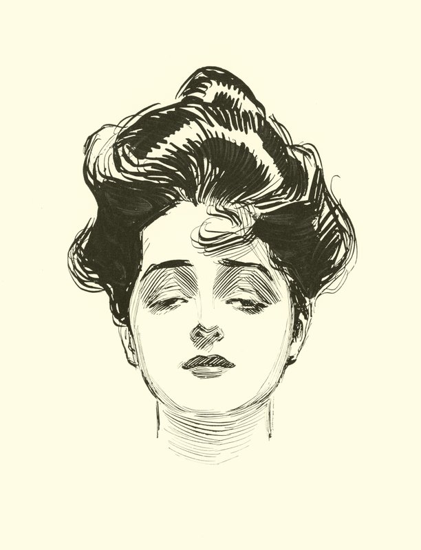 Illustration für Die soziale Leiter von Charles Dana Gibson